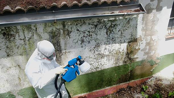 Trusted Crawl Space Mold Removal service in Oxon Hill, MD - Cheap Mold Removal